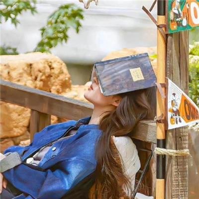 父与子的流亡旅程 在线观看